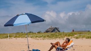 Chatham Shark Center Gives Newcomers a Safe Way to Discover Cape Cod’s Most Famous Summer Visitors (featured )
