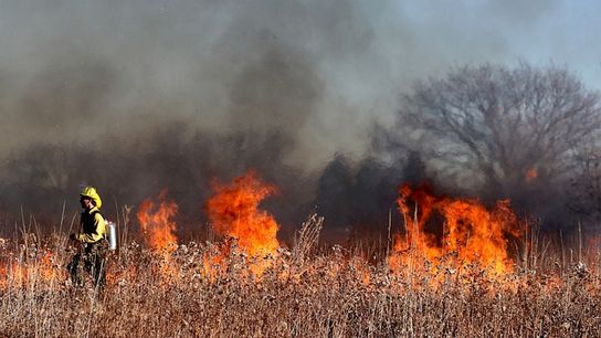Massachusetts Wildfire Map Activity (Live in Massachusetts )